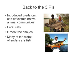 Back to the 3 P's
●   Introduced predators
    can devastate native
    animal communities
●   Feral cats
●   Green tree snakes
●   Many of the worst
    offenders are fish
 