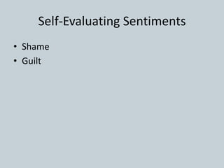 Self-Evaluating Sentiments
• Shame
• Guilt
 