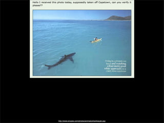 http://www.snopes.com/photos/animals/sharkkayak.asp

 