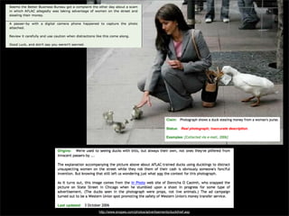 http://www.snopes.com/photos/advertisements/duckthief.asp

 