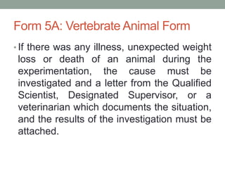 Form 5A: Vertebrate Animal Form
• If there was any illness, unexpected weight
loss or death of an animal during the
experimentation, the cause must be
investigated and a letter from the Qualified
Scientist, Designated Supervisor, or a
veterinarian which documents the situation,
and the results of the investigation must be
attached.
 