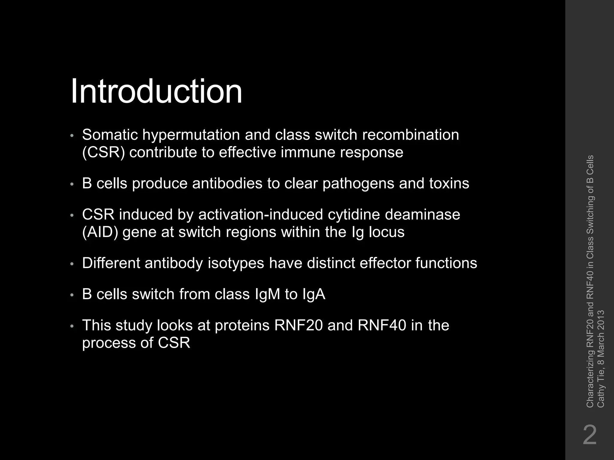 Characterizing RNF20 and RNF40 in Class Switching of B Cells | PPTX