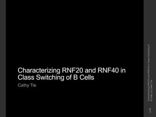 Cathy Tie
                            Class Switching of B Cells
                            Characterizing RNF20 and RNF40 in




    Characterizing RNF20 and RNF40 in Class Switching of
1




    B Cells, by Cathy Tie
 