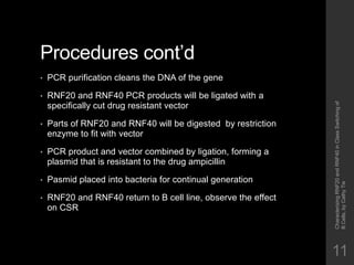 Characterizing RNF20 and RNF40 in Class Switching of B Cells | PPTX