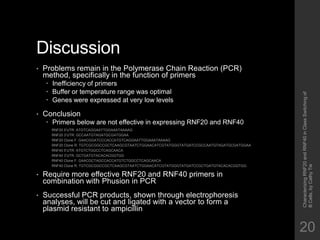 Characterizing RNF20 and RNF40 in Class Switching of B Cells | PPTX