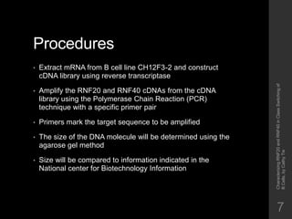 Characterizing RNF20 and RNF40 in Class Switching of B Cells | PPTX