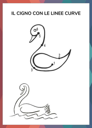 IL CIGNO CON LE LINEE CURVE
 