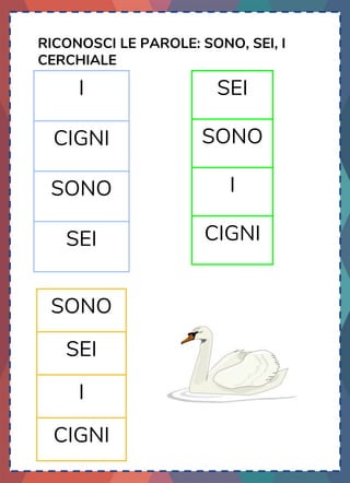 RICONOSCI LE PAROLE: SONO, SEI, I
CERCHIALE
I
CIGNI
SONO
SEI
SEI
SONO
I
CIGNI
SONO
SEI
I
CIGNI
 