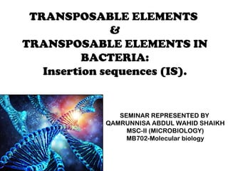 TRANSPOSABLE ELEMENTS
&
TRANSPOSABLE ELEMENTS IN
BACTERIA:
Insertion sequences (IS).
SEMINAR REPRESENTED BY
QAMRUNNISA ABDUL WAHID SHAIKH
MSC-II (MICROBIOLOGY)
MB702-Molecular biology
 