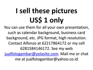 I sell these picturesUS$ 1 onlyYou can use them for all your own presentation, such as calendar background, business card background, etc. JPG format, high resolution. Contact Alfonzo at 62217864172 or my cell 6281584146172. See my web jualfotogambar@yolasite.com. Mail me or chat me at jualfotogambar@yahoo.co.id 
