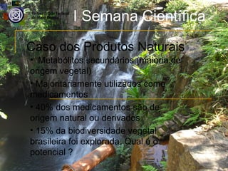 I Semana Científica
Caso dos Produtos Naturais
• Metabólitos secundários (maioria de
origem vegetal)
• Majoritariamente utilizados como
medicamentos
• 40% dos medicamentos são de
origem natural ou derivados
• 15% da biodiversidade vegetal
brasileira foi explorada. Qual é o
potencial ?
 
