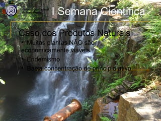 I Semana Científica
Caso dos Produtos Naturais
• Muitas plantas NÃO são
economicamente viáveis
• Endemismo
• Baixa concentração de princípio ativo
 