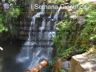 I Semana Científica
Caso dos Produtos Naturais
• Viabilidade:
   • Produção de princípio ativo de pelo
   menos 1%
   • Espécies cultiváveis
   • Altamente adaptáveis
 
