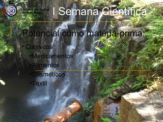 I Semana Científica
Potencial como matéria-prima:
• Clássicos
   •Medicamentos
   •Alimentos
   •Cosméticos
   •Textil
 