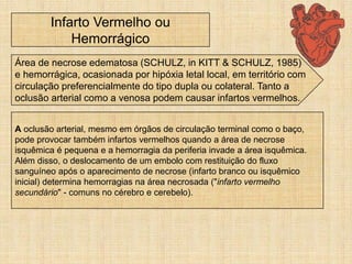 Infarto Vermelho ou
Hemorrágico
Área de necrose edematosa (SCHULZ, in KITT & SCHULZ, 1985)
e hemorrágica, ocasionada por hipóxia letal local, em território com
circulação preferencialmente do tipo dupla ou colateral. Tanto a
oclusão arterial como a venosa podem causar infartos vermelhos.
A oclusão arterial, mesmo em órgãos de circulação terminal como o baço,
pode provocar também infartos vermelhos quando a área de necrose
isquêmica é pequena e a hemorragia da periferia invade a área isquêmica.
Além disso, o deslocamento de um embolo com restituição do fluxo
sanguíneo após o aparecimento de necrose (infarto branco ou isquêmico
inicial) determina hemorragias na área necrosada ("infarto vermelho
secundário" - comuns no cérebro e cerebelo).
 