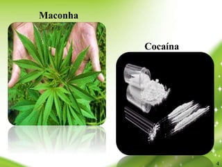 Maconha
Cocaína
4
 