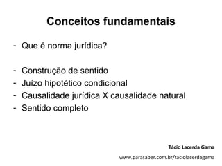 Conceitos fundamentais

- Que é norma jurídica?

-   Construção de sentido
-   Juízo hipotético condicional
-   Causalidade jurídica X causalidade natural
-   Sentido completo



                                               Tácio Lacerda Gama
                            www.parasaber.com.br/taciolacerdagama
 