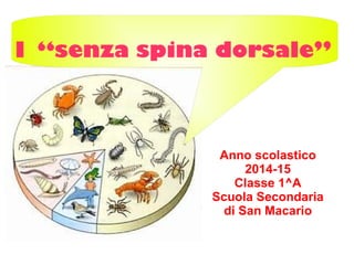 I “senza spina dorsale”
Anno scolastico
2014-15
Classe 1^A
Scuola Secondaria
di San Macario
 