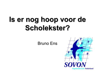 Is er nog hoop voor de
      Scholekster?

        Bruno Ens
 