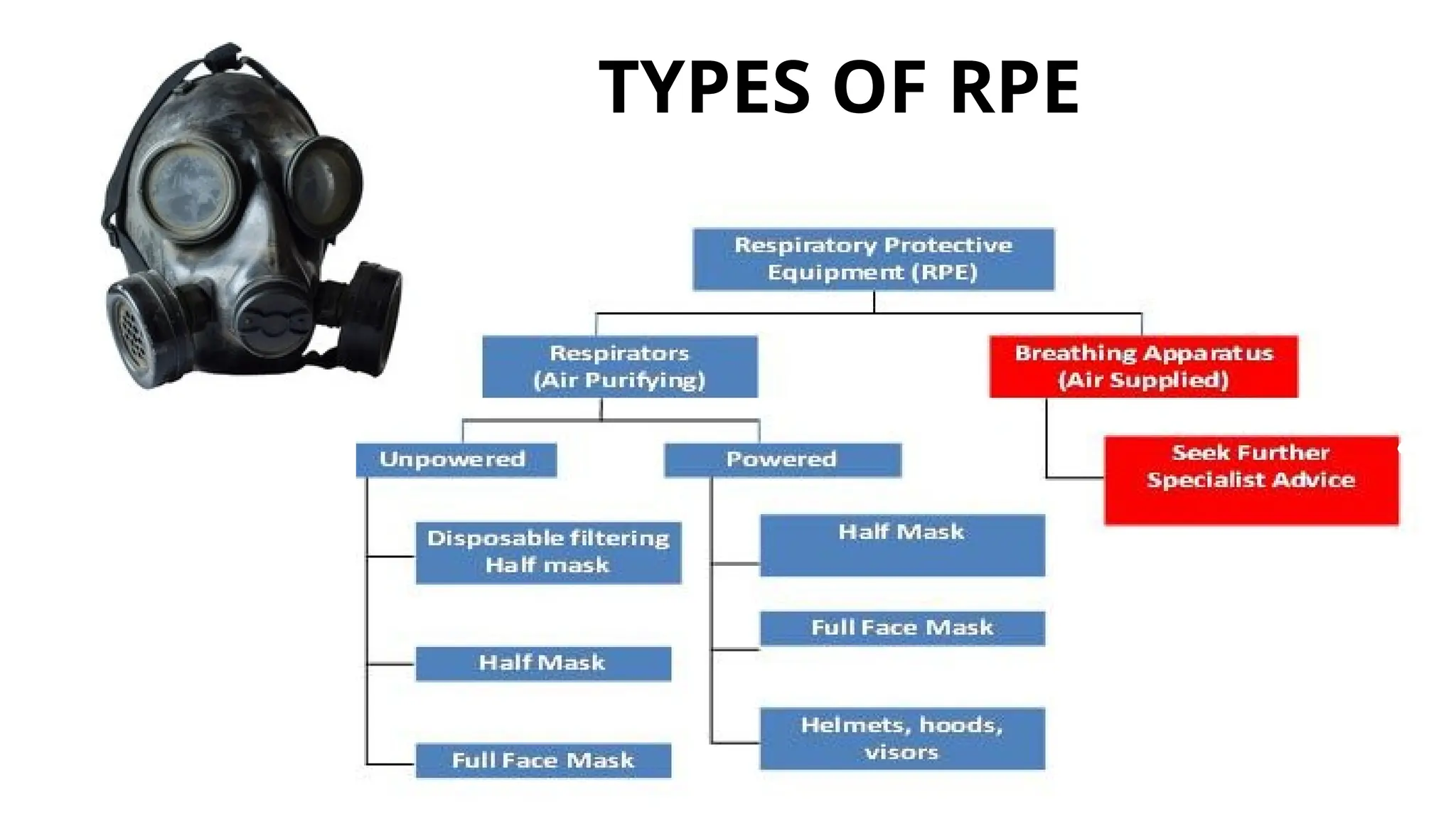 ARJUN P K
TYPES OF RPE
 