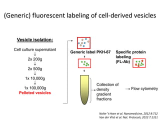 Vesicle isolation:
Cell culture supernatant

2x 200g

2x 500g

1x 10,000g

1x 100,000g
Pelleted vesicles
Generic label PKH-67
Collection of
density
gradient
fractions
Flow cytometry
(Generic) fluorescent labeling of cell-derived vesicles
Specific protein
labeling
(FL-Ab)
Nolte-’t Hoen et al. Nanomedicine, 2012 8:712
Van der Vlist et al. Nat. Protocols, 2012 7:1311
 