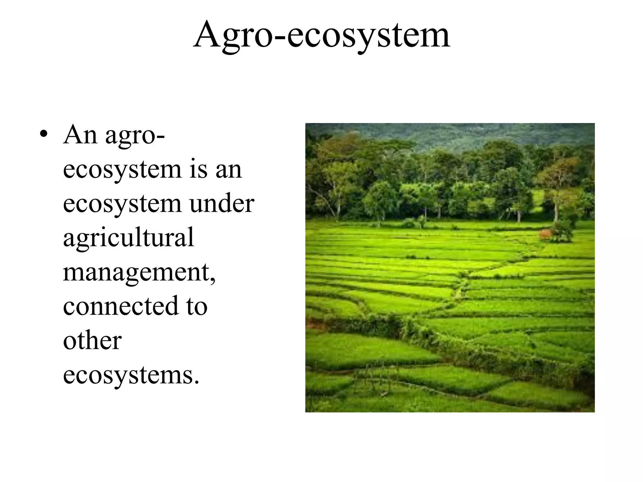 ISEWP rice field agro-ecosystem.pdf | Agriculture | Industries