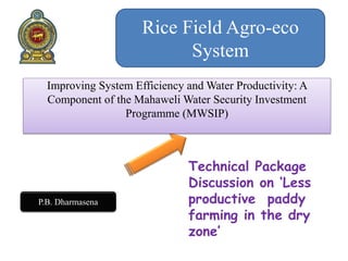 Technical Package
Discussion on ‘Less
productive paddy
farming in the dry
zone’
P.B. Dharmasena
Rice Field Agro-eco
System
Improving System Efficiency and Water Productivity: A
Component of the Mahaweli Water Security Investment
Programme (MWSIP)
 
