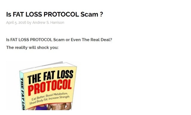 fat protocol
