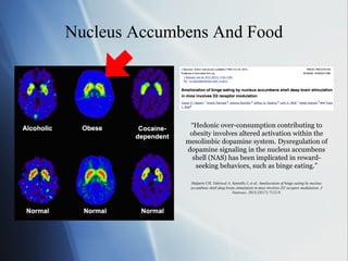 Is Food Addictive | PPT