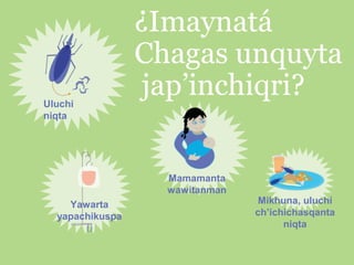 ¿Imaynatá
Chagas unquyta
jap’inchiqri?

Uluchi
niqta

Mamamanta
wawitanman
Yawarta
yapachikuspa
()

Mikhuna, uluchi
ch’ichichasqanta
niqta

 