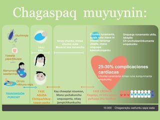 Chagaspaq muyuynin:
Uluchiniqta

Iskay
killa

Iskay chunka, kimsa
chunka wata
Mana ni ima nananchu

Chunka runamanta,
suqta runa mana ni
imanta nananqa,
Jinalla, mana
unquspa
kawsakunqanku

Unqusqa runamanta uklla,
iskaylla
Ch’unchulasninkumanta
unqukunku

Yawarta
yapachikuspa

25-30% complicaciones
cardíacas

Mamamanta
wawitanman
Ch’ichi
mikhuna niqta

TRANSMISIÓN
PURICHIY

Kay chawpipi nisuman,
FASE
Mana yachakunchu
AGUDA
unqusqanta, nitaq
Chimpachikuyjampichikunkuchu
tawan pacha

Chunka runamanta kimsa runa sunqunmanta
unqukunku.

FASE CRÓNICA
Kaypiqa, ch’inlla unquy,
puñusqa jina kachkan
10.000

Chagasrayku wañunku sapa wata

 