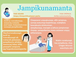 Jampikunamanta
FASE AGUDA
Unquy chimpachikuytawan pacha
Juch’uy wawakunaqa,
manaraq watanta
junt’aspa, tratamientowan
sumaqta jampikunku

Machurunakunapi,
juch’uy
wawakunapi uk
watayuk pataman,
jampikuyta atinku,
manaraq iskay killa
pasaqtin unquyta
jap’isqankumantapacha

FASE CRÓNICA
Achka watasmantaña

Chaqaswan unquqkunaqa, allin jampisqa,
sumaq waturisqa kaqtinkuqa, waliqllata
kawsakuyta atinkunman.
Jampikunaqa, manapis q’alituta jampinman
chayqa, yanapallantaq mana astawan unquy
wiñananpaq.
Wakin runakunapi,
kay jampikuna, chay
Chagas khuruta
wanchiyta atin

 
