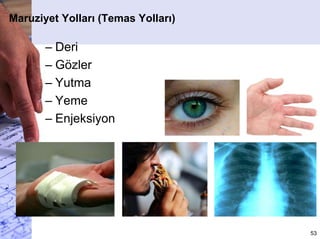 Maruziyetin Etkileri
– Kısa vadeli (akut)
– Uzun vadeli (kronik)
53
 