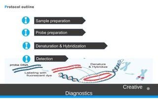 In situ Hybridization (ISH) and Fluorescence in Situ Hybridization ...