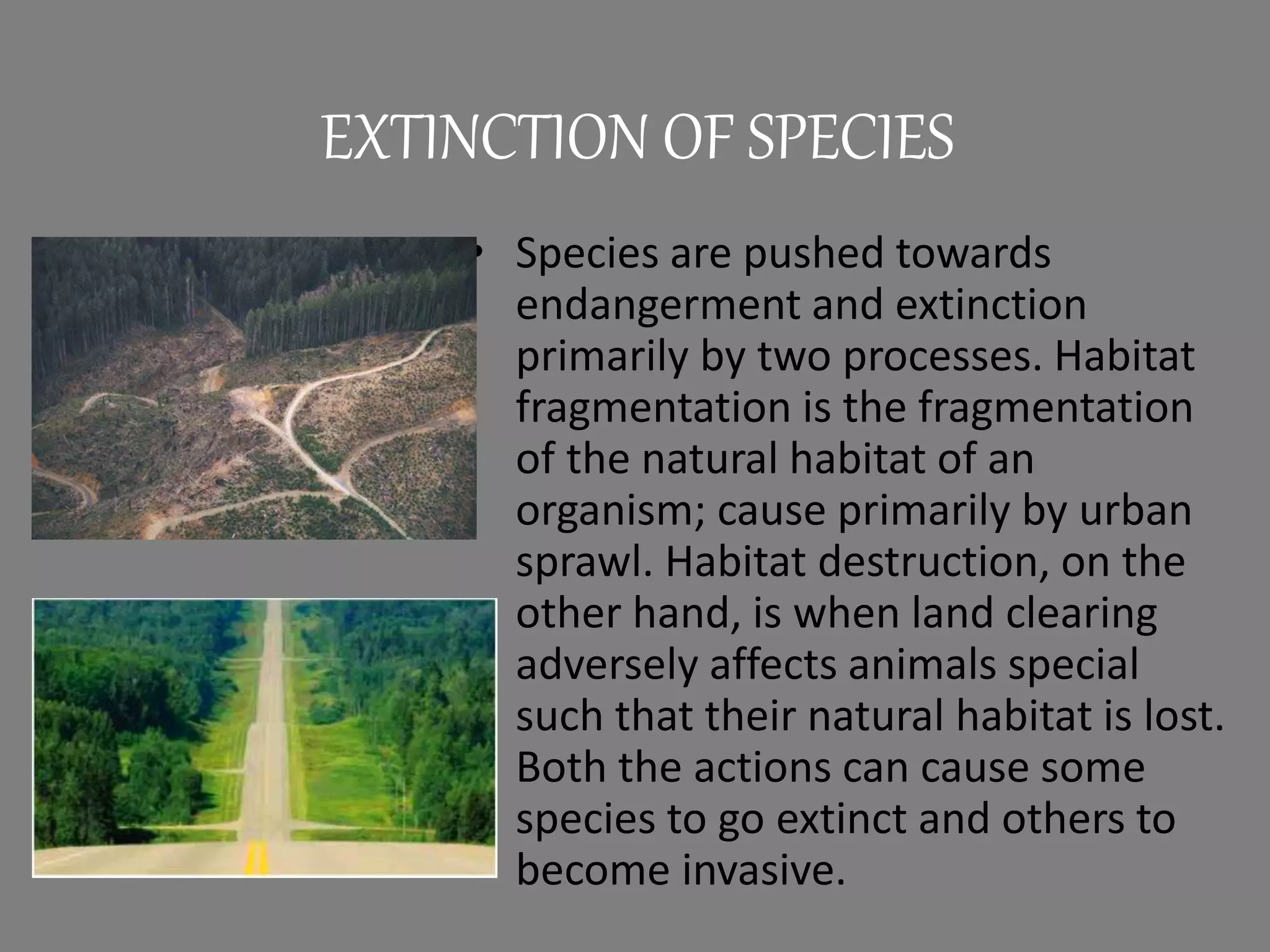 EXTINCTION OF SPECIES
• Species are pushed towards
endangerment and extinction
primarily by two processes. Habitat
fragmentation is the fragmentation
of the natural habitat of an
organism; cause primarily by urban
sprawl. Habitat destruction, on the
other hand, is when land clearing
adversely affects animals special
such that their natural habitat is lost.
Both the actions can cause some
species to go extinct and others to
become invasive.
 