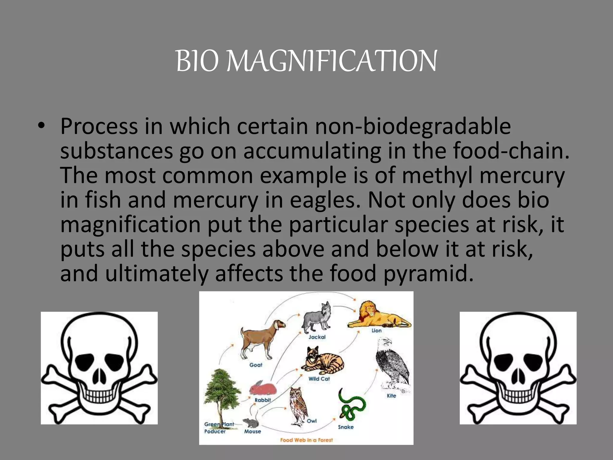 BIO MAGNIFICATION
• Process in which certain non-biodegradable
substances go on accumulating in the food-chain.
The most common example is of methyl mercury
in fish and mercury in eagles. Not only does bio
magnification put the particular species at risk, it
puts all the species above and below it at risk,
and ultimately affects the food pyramid.
 