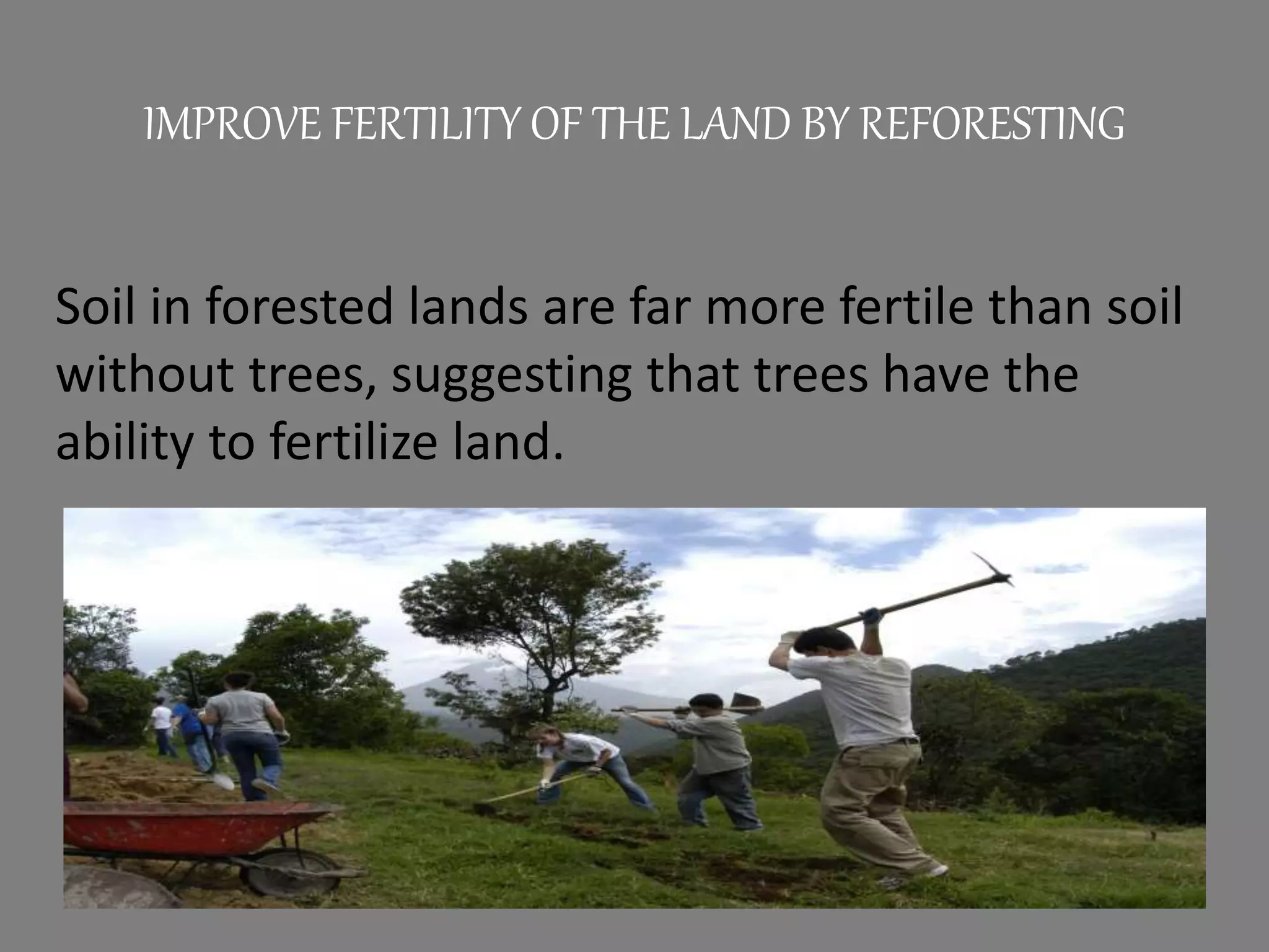 IMPROVE FERTILITY OF THE LAND BY REFORESTING
Soil in forested lands are far more fertile than soil
without trees, suggesting that trees have the
ability to fertilize land.
 