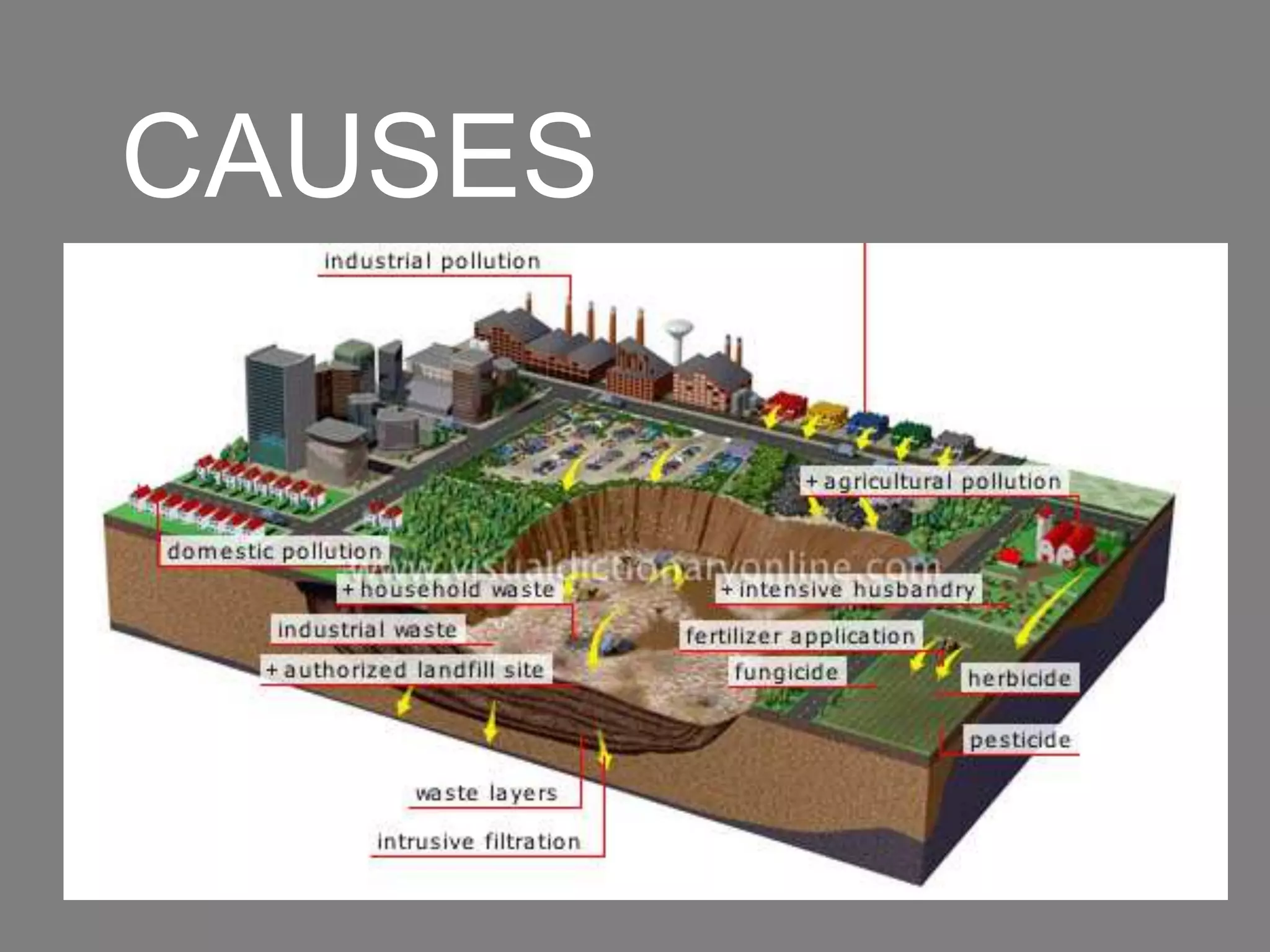 CAUSES
 