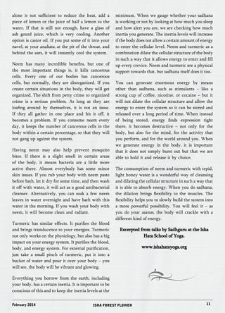alone is not sufficient to reduce the heat, add a 
piece of lemon or the juice of half a lemon to the 
water. If that is still not enough, have a glass of 
ash gourd juice, which is very cooling. Another 
option is castor oil. If you put some of it into your 
navel, at your anahata, at the pit of the throat, and 
behind the ears, it will instantly cool the system. 
Neem has many incredible benefits, but one of 
the most important things is, it kills cancerous 
cells. Every one of our bodies has cancerous 
cells, but normally, they are disorganized. If you 
create certain situations in the body, they will get 
organized. The shift from petty crime to organized 
crime is a serious problem. As long as they are 
loafing around by themselves, it is not an issue. 
If they all gather in one place and hit it off, it 
becomes a problem. If you consume neem every 
day, it keeps the number of cancerous cells in the 
body within a certain percentage, so that they will 
not gang up against the system. 
Having neem may also help prevent mosquito 
bites. If there is a slight smell in certain areas 
of the body, it means bacteria are a little more 
active there. Almost everybody has some minor 
skin issues. If you rub your body with neem paste 
before bath, let it dry for some time, and then wash 
it off with water, it will act as a good antibacterial 
cleanser. Alternatively, you can soak a few neem 
leaves in water overnight and have bath with this 
water in the morning. If you wash your body with 
neem, it will become clean and radiant. 
Turmeric has similar effects. It purifies the blood 
and brings translucence to your energies. Turmeric 
not only works on the physiology, but also has a big 
impact on your energy system. It purifies the blood, 
body, and energy system. For external purification, 
just take a small pinch of turmeric, put it into a 
bucket of water and pour it over your body – you 
will see, the body will be vibrant and glowing. 
Everything you borrow from the earth, including 
your body, has a certain inertia. It is important to be 
conscious of this and to keep the inertia levels at the 
minimum. When we gauge whether your sadhana 
is working or not by looking at how much you sleep 
and how alert you are, we are checking how much 
inertia you generate. The inertia levels will increase 
if the body does not allow a certain amount of energy 
to enter the cellular level. Neem and turmeric as a 
combination dilate the cellular structure of the body 
in such a way that it allows energy to enter and fill 
up every crevice. Neem and turmeric are a physical 
support towards that, but sadhana itself does it too. 
You can generate enormous energy by means 
other than sadhana, such as stimulants – like a 
strong cup of coffee, nicotine, or cocaine – but it 
will not dilate the cellular structure and allow the 
energy to enter the system so it can be stored and 
released over a long period of time. When instead 
of being stored, energy finds expression right 
there, it becomes destructive – not only for the 
body, but also for the mind, for the activity that 
you perform, and for the world around you. When 
we generate energy in the body, it is important 
that it does not simply burst out but that we are 
able to hold it and release it by choice. 
The consumption of neem and turmeric with tepid, 
light honey water is a wonderful way of cleansing 
and dilating the cellular structure in such a way that 
it is able to absorb energy. When you do sadhana, 
the dilation brings flexibility to the muscles. The 
flexibility helps you to slowly build the system into 
a more powerful possibility. You will feel it – as 
you do your asanas, the body will crackle with a 
different kind of energy. 
Excerpted from talks by Sadhguru at the Isha 
Hata School of Yoga. 
www.ishahatayoga.org 
February 2014 ISHA FOREST FLOWER 11 
 
