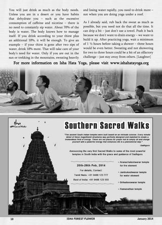 You will just drink as much as the body needs. 
Unless you are in a desert or you have habits 
that dehydrate you – such as the excessive 
consumption of caffeine and nicotine – there is 
no need to constantly sip water. About 70% of the 
body is water. The body knows how to manage 
itself. If you drink according to your thirst plus 
an additional 10%, it will be enough. To give an 
example – if your thirst is gone after two sips of 
water, drink 10% more. That will take care of your 
body’s need for water. Only if you are out in the 
sun or trekking in the mountains, sweating heavily 
and losing water rapidly, you need to drink more – 
not when you are doing yoga under a roof. 
As I already said, rub back the sweat as much as 
possible, but you need not do that all the time. It 
can drip a bit – just don’t use a towel. Push it back 
because we don’t want to drain energy – we want to 
build it up. After practicing yoga, wait a minimum 
of 1 ½ hours before taking a shower – three hours 
would be even better. Sweating and not showering 
for two to three hours could be a bit of an olfactory 
challenge – just stay away from others. [Laughter] 
For more information on Isha Hata Yoga, please visit www.ishahatayoga.org 
10 ISHA FOREST FLOWER January 2014 
 