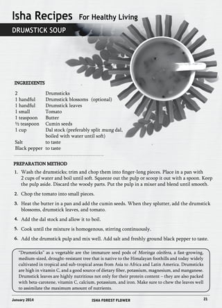 Isha Recipes For Healthy Living 
Drumstick Soup 
Ingredients 
2 Drumsticks 
1 handful Drumstick blossoms (optional) 
1 handful Drumstick leaves 
1 small Tomato 
1 teaspoon Butter 
½ teaspoon Cumin seeds 
1 cup Dal stock (preferably split mung dal, 
boiled with water until soft) 
Salt to taste 
Black pepper to taste 
Preparation Method 
1. 
2. 
3. 
4. 
5. 
6. 
Wash the drumsticks; trim and chop them into finger-long pieces. Place in a pan with 
2 cups of water and boil until soft. Squeeze out the pulp or scoop it out with a spoon. Keep 
the pulp aside. Discard the woody parts. Put the pulp in a mixer and blend until smooth. 
Chop the tomato into small pieces. 
Heat the butter in a pan and add the cumin seeds. When they splutter, add the drumstick 
blossoms, drumstick leaves, and tomato. 
Add the dal stock and allow it to boil. 
Cook until the mixture is homogenous, stirring continuously. 
Add the drumstick pulp and mix well. Add salt and freshly ground black pepper to taste. 
“Drumsticks” as a vegetable are the immature seed pods of Moringa oleifera, a fast-growing, 
medium-sized, drought-resistant tree that is native to the Himalayan foothills and today widely 
cultivated in tropical and sub-tropical areas from Asia to Africa and Latin America. Drumsticks 
are high in vitamin C, and a good source of dietary fiber, potassium, magnesium, and manganese. 
Drumstick leaves are highly nutritious not only for their protein content – they are also packed 
with beta-carotene, vitamin C, calcium, potassium, and iron. Make sure to chew the leaves well 
to assimilate the maximum amount of nutrients. 
January 2014 ISHA FOREST FLOWER 21 
 