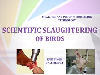 MEAT, FISH AND POULTRY PROCESSING
TECHNOLOGY
ISHA SINGH
5th SEMESTER
 