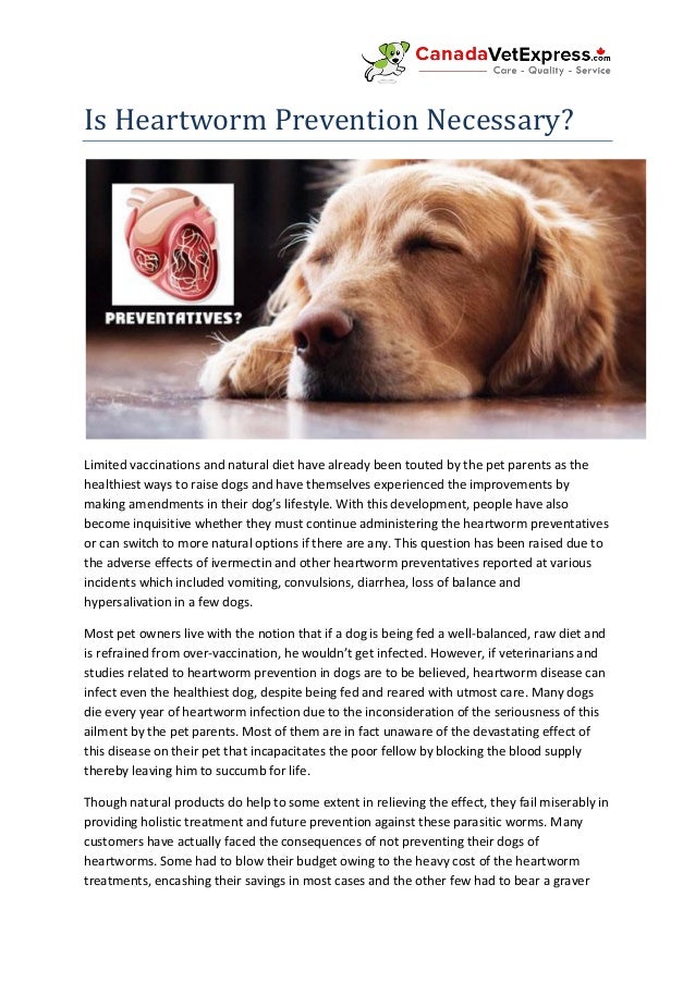 natural heartworm treatment