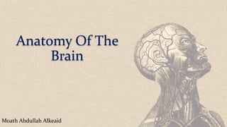 Anatomy Of The
Brain
Moath Abdullah Alkeaid
 