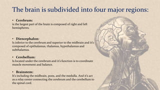 The brain is subdivided into four major regions:
• Cerebrum:
is the largest part of the brain is composed of right and left
hemispheres.
• Diencephalon:
Is inferior to the cerebrum and superior to the midbrain and it’s
composed of epithalamus, thalamus, hypothalamus and
subthalamus.
• Cerebellum:
Is located under the cerebrum and it’s function is to coordinate
muscle movement and balance.
• Brainstem:
It’s including the midbrain, pons, and the medulla. And it’s act
as a relay center connecting the cerebrum and the cerebellum to
the spinal cord.
 