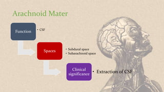 Arachnoid Mater
Spaces • Subdural space
• Subarachnoid space
Function • CSF
Clinical
significance
• Extraction of CSF
 