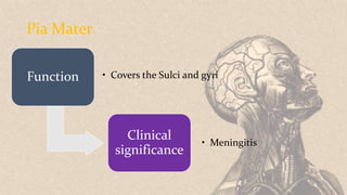Pia Mater
Function • Covers the Sulci and gyri
Clinical
significance
• Meningitis
 