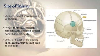 Site of Injury
• Also known as the weakest part
of the skull
• Where the frontal, parietal,
temporal, and sphenoid (greater
wing) bones articulate
• Anterior branch of the middle
meningeal artery lies just deep
to this point
 
