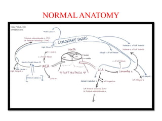 NORMAL ANATOMY
 