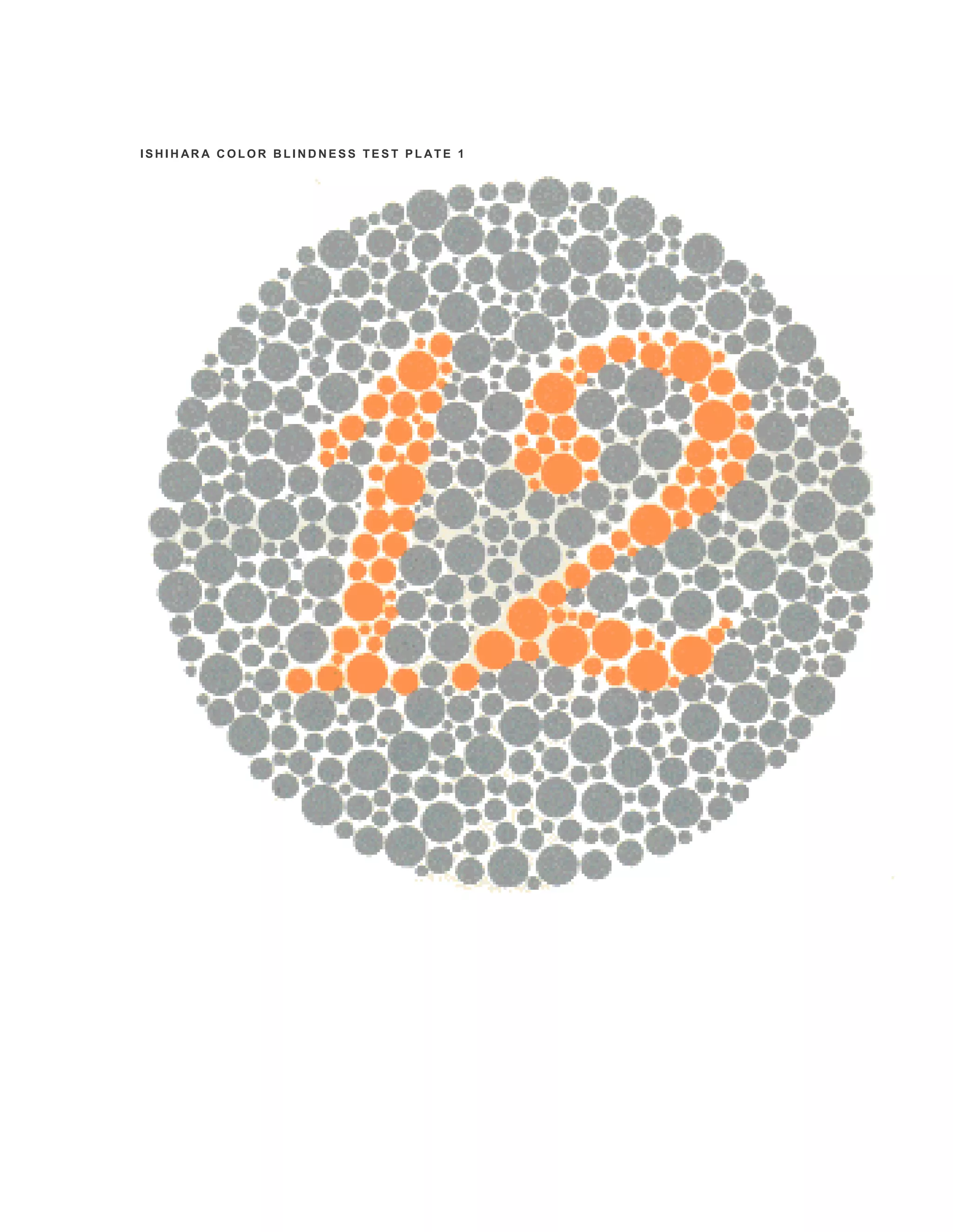 TEST BUTA WARNA | PDF